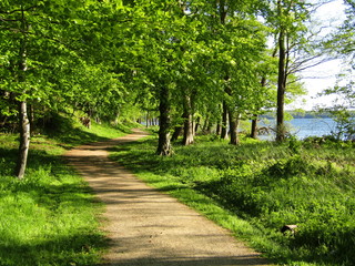 Walk in the peaceful park in a sunny spring day