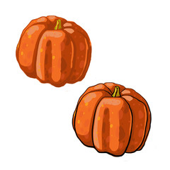 sketch contour pumpkin orange decor garden