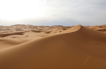 Fototapeta na wymiar Sahara desert. Merzouga Morocco.