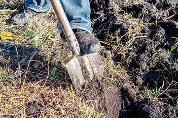 A worker digs the ground with a hand shovel in the garden, a person prepares the soil for planting...