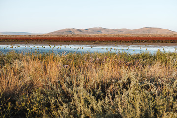 Blue lake in the middle of field and red grass around it. In background is mountain. Natural landscape.