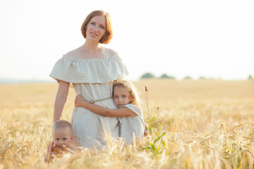 A mother hugs and loves her little children in a wheat field. A happy mother and her children spend time together in a Sunny field. The concept of leaving a horizontal portrait.