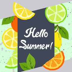 Hello Summer, inscription on the background with Fresh  orange, lemon, lime slices in cartoon style. EPS 10