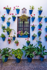 Flowers Festival of the Courtyards, in Cordoba, Andalusia, Spain