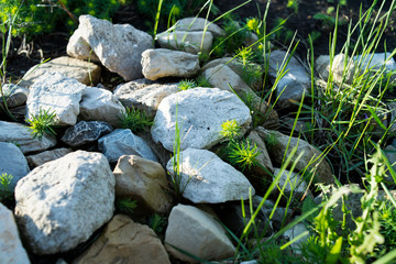 Stones of different sizes in the garden among the grass