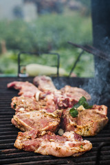 Meat steaks are grilled on an outdoor street grill. Man cooks barbecue and adds spices. Summer picnic in nature.