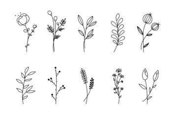 Hand drawn flower branch set. Simple floral graphic sketch with leaves sprig silhouettes, minimal fine line tattoo sketch design. Vector illustration