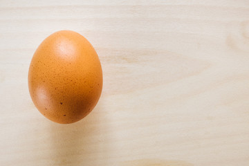 Single Brown Egg with Space for Copy