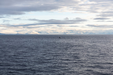 Beautiful seascape sky with clouds
