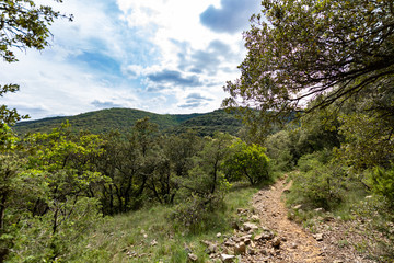 Fototapeta na wymiar Sentier à travers une forêt des Cévènnes, près du village de Corbès