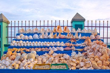 Decorative sea shells on display in a cart at Kanyakumari, Tamil Nadu, India