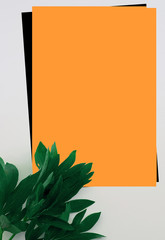background image with orange, black and white and a green leaf in the bottom corner

