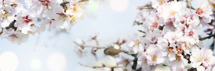 Spring border, season background