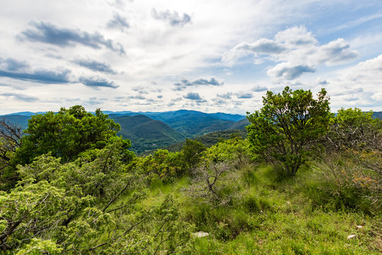 「Perte」の画像 3,162 件の Stock 写真、ベクターおよびビデオ Adobe Stock