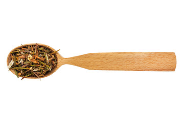 Dried Ledum or Rhododendron subsect in a wooden spoon on a white background. Phytotherapy and disease prevention. Herbal collection for medicinal tinctures. Herbal tea in folk medicine
