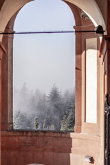 arched window in the misty morning in the forest