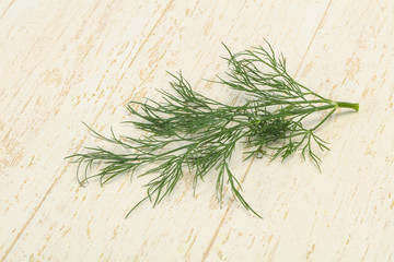 Fresh green dill herb branch