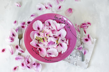 Plate with flower petals of peonies served by appliances on a light gray rough surface and round petals of pink peonies. Comic concept of vegetarianism and raw food diet.