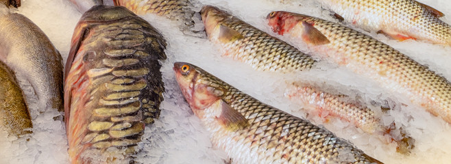 Fresh fish is laid out on ice at the market. Useful food, trade concept. Horizontal orientation, selective focus. Banner.