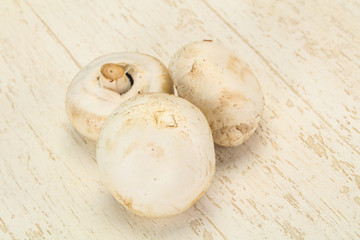 Raw Champignon heap for cooking