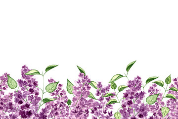Watercolor border with lilac flower on white background