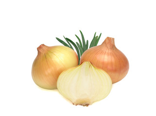 Two whole onions and a half isolated on white background. Top view