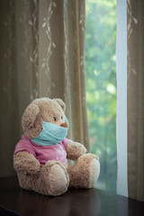 Close up view oftoy dog and teddy bear with medial mask on its face