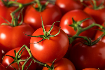 Raw Organic Vine Ripe Red Tomatoes