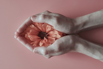 Conceptual abstract image of the female genital organs of the vagina and clitoris.
