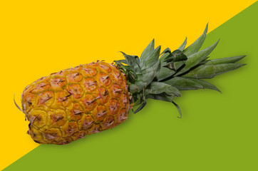pi&ntilde;a