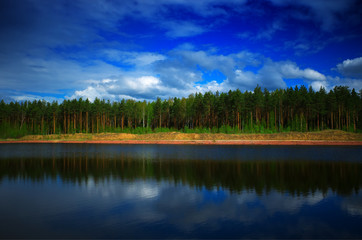 Fototapeta na wymiar Summer forest on river bank landscape background