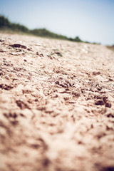 footprints in a dry mud track leading to a blurred background.