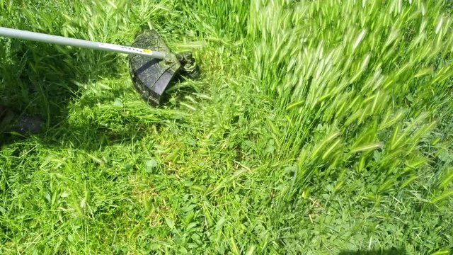 Electric trimmer blade rotary cuts grass