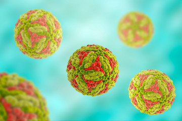 Japanese encephalitis viruses