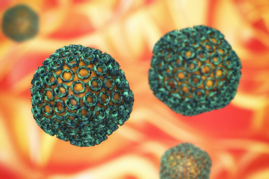 Rift valley fever virus