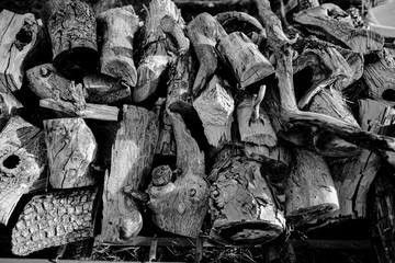Stacked Firewood
