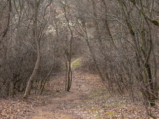 Amazing Czech Republic, charming Brno.