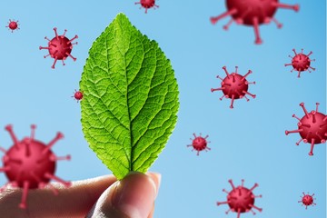 Green leaf in hand and virus molecule