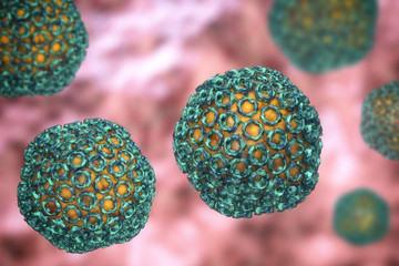 Rift valley fever virus © Dr_Microbe