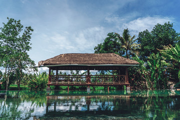 Fototapeta premium Tropical summer backyard with a large gazebo, pool and palm trees