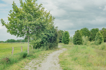 Path with trees in lush countryside in spring.