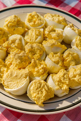 Deviled Eggs Picnic