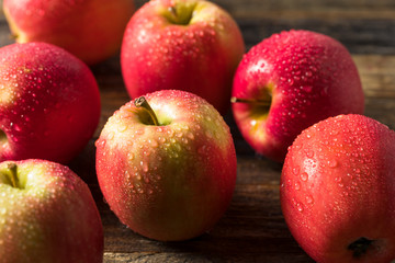 Raw Organic Red Fuji Apples