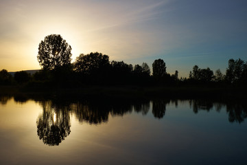 Silhouettes of trees and reflections on calm lake water at sunset