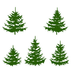 Fototapeta premium Christmas tree . Nature symbols trees . christmas tree, new year plants silhouette isolated