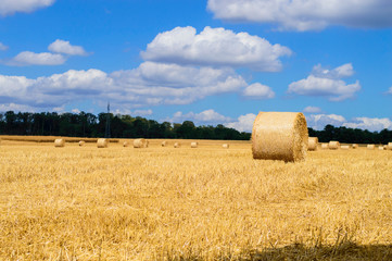 Sky, space, harvest season, field, clouds, Large round straw bales