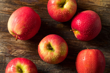 Raw Organic Red Fuji Apples