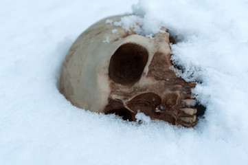 skull covered with snow and ice.  human skull. buried human remains. terrible find