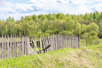 view of an old, leaning fence, against the background of forest and green grass.