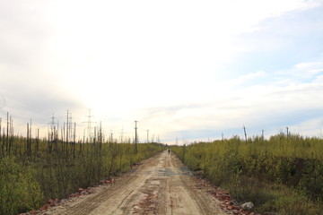railway in the field